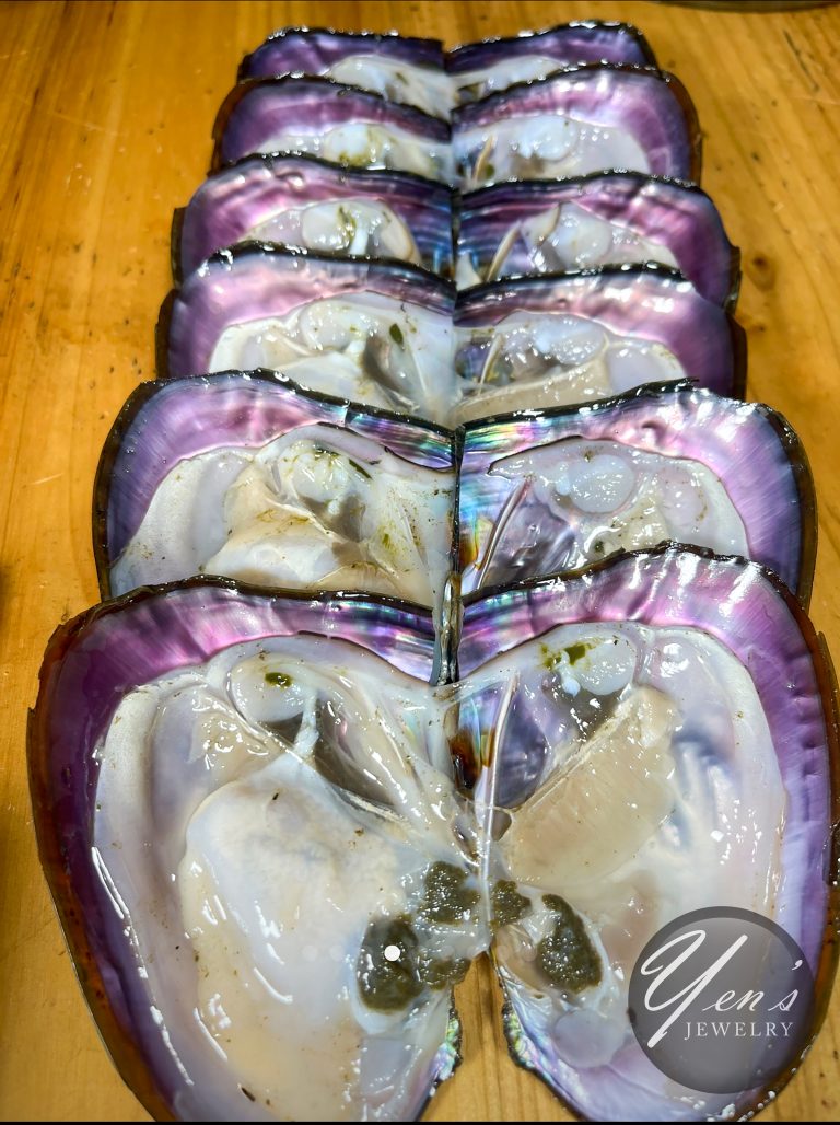 Rows of opened mussels with purple inner shells