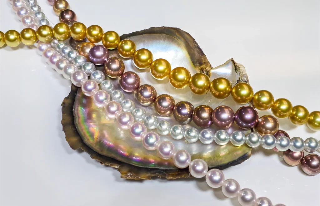 Strands of golden South Sea, Edison and white pearls draped over an oyster shell
